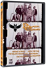 Watch Free The Black Crowes: Freak N Roll... Into the Fog (2006)