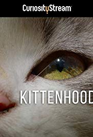 Watch Free Kittenhood (2015)