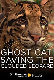 Watch Free Ghost Cat: Saving the Clouded Leopard (2007)