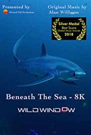 Watch Full Movie :Wild Window: Beneath the Sea (2018)
