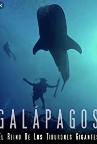 Watch Free Galapagos Realm of Giant Sharks (2012)