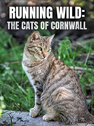 Watch Free Running Wild The Cats of Cornwall (2020)