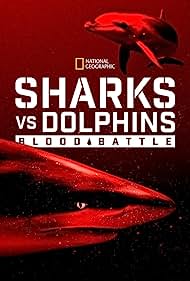 Watch Full Movie :Sharks vs Dolphins Blood Battle (2020)